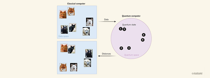 In this simple illustration, a classical computer uses machine learning to classify images of animals. Images whose pixels contain similar colors are positioned close together in data space. The classical computer sends these data to a quantum computer that maps each of the images to a particular quantum state in a space of such states. Images that are close together in data space, but are different in content, are represented by states that are far apart in quantum space. The quantum computer sends the distances between the quantum states to the classical computer to improve the image classification. From Nature.